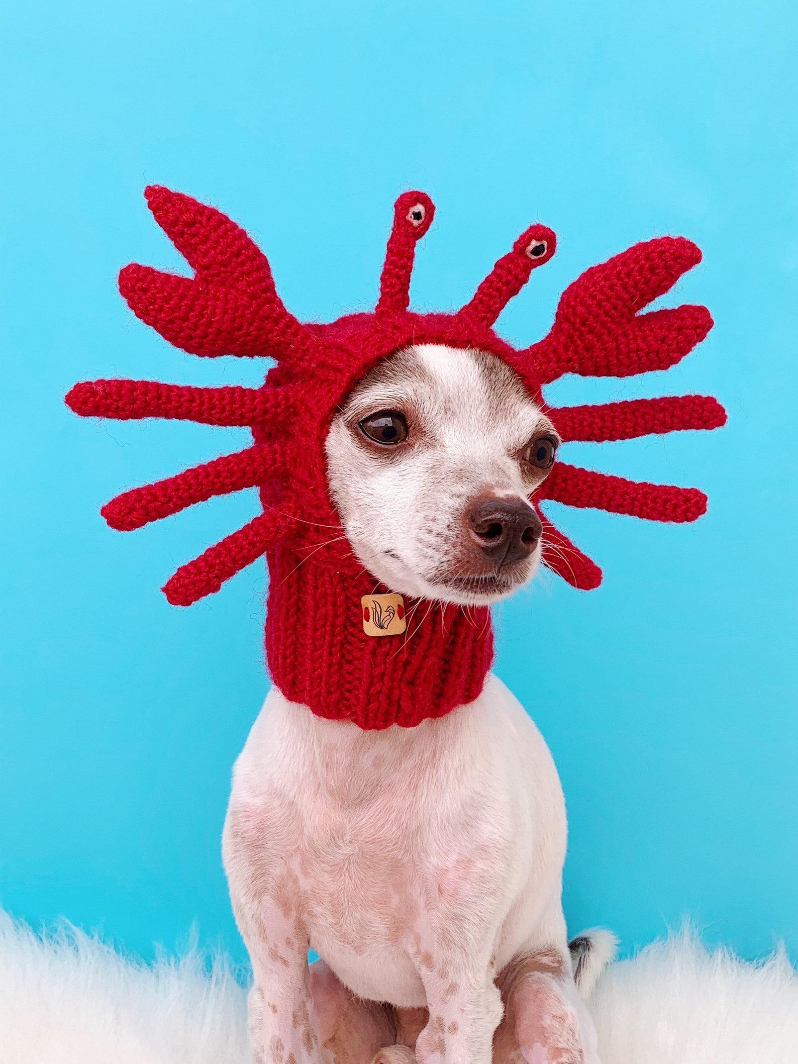 Crab Dog Hat Crab Dog Snood Crab Dog Costume Pet Ear - Etsy