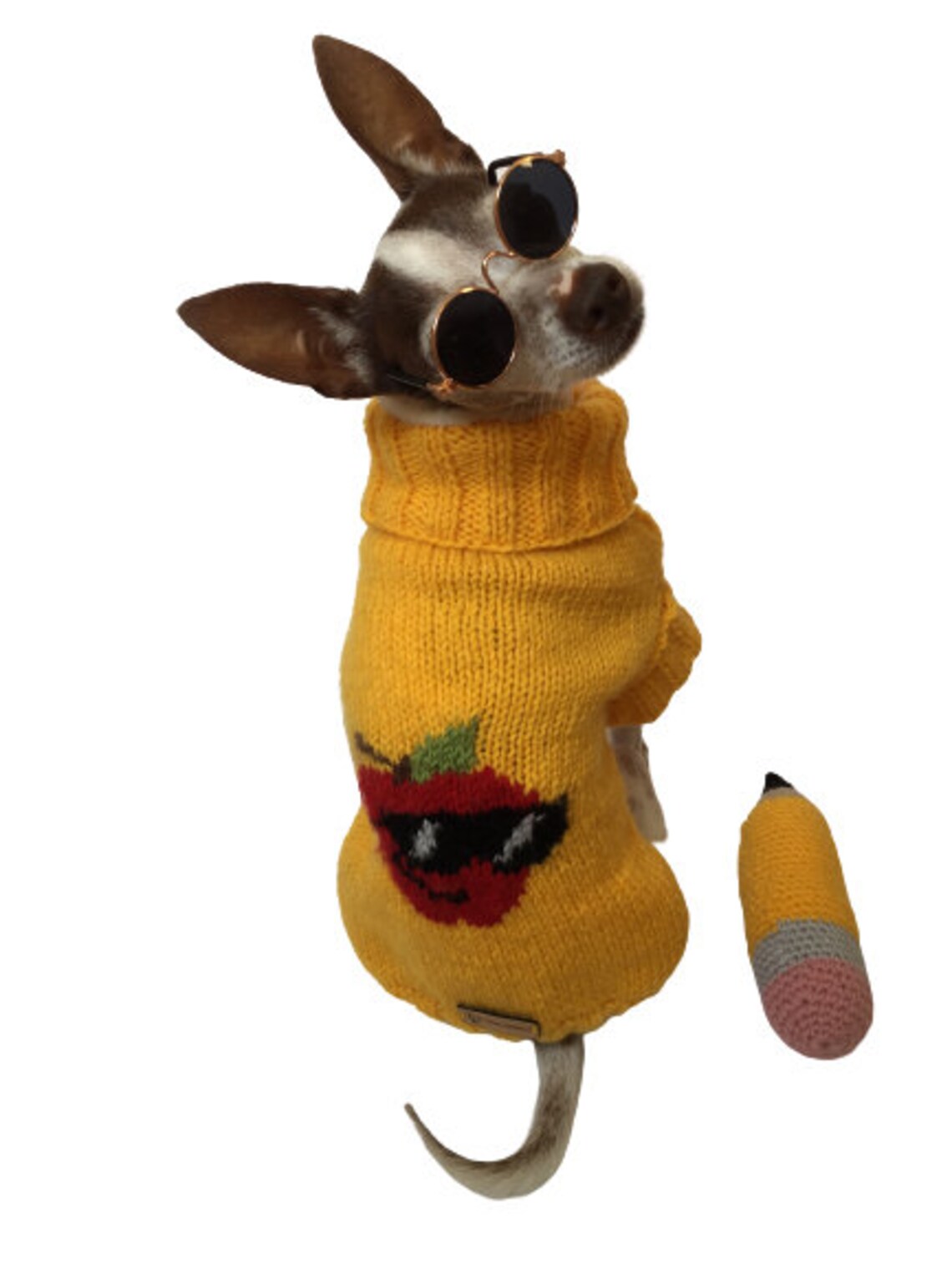 Crochet Pencil Dog Toy Back to School Dog Toy Squeaky Dog Etsy