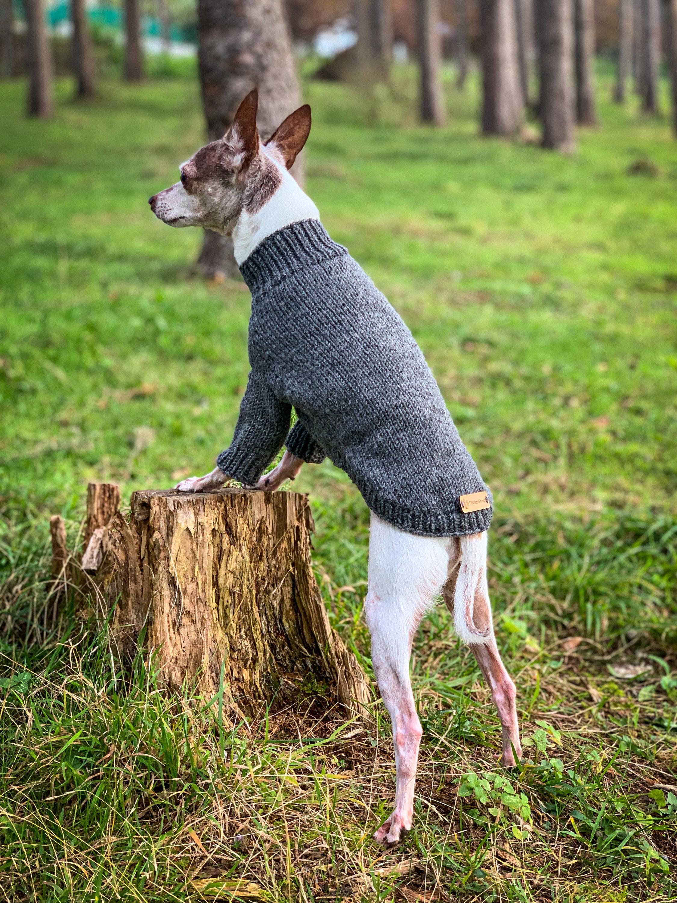 Hundepullover Für Kleine Hunde & Katzen – Warmer Strickpullover, Braun, Größe XL, 100% Acryl