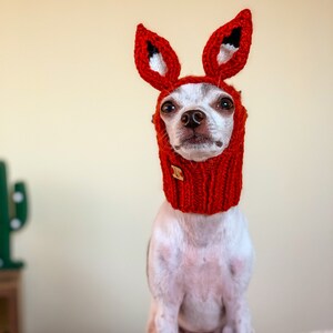 Puede incluir: Un peque&ntilde;o perro blanco con un gorro de zorro de punto rojo con orejas puntiagudas. El perro est&aacute; sentado en una superficie blanca y mirando directamente a la c&aacute;mara.