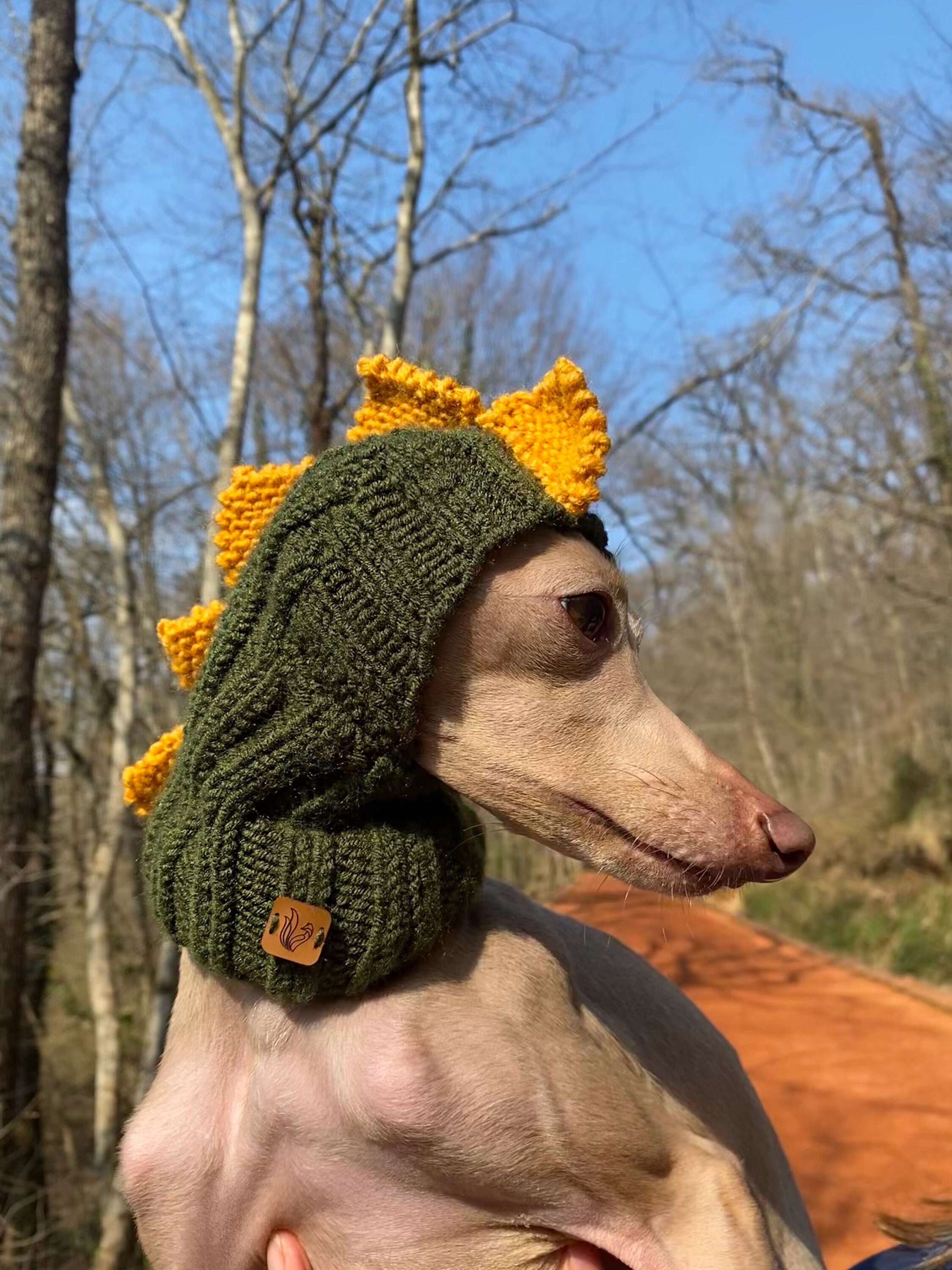 dog with dinosaur hat