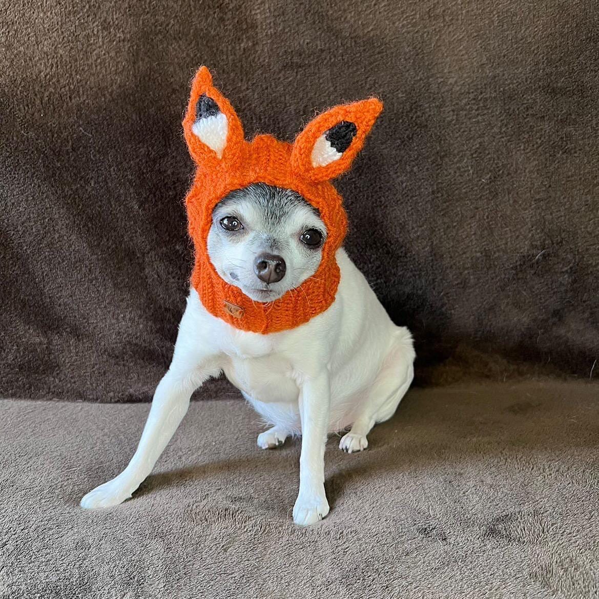 Tour De Cou Chaud En Tricot Pour Chien Déguisé En Taureau - Costume Mignon Pour Halloween Et Hiver - Taille M