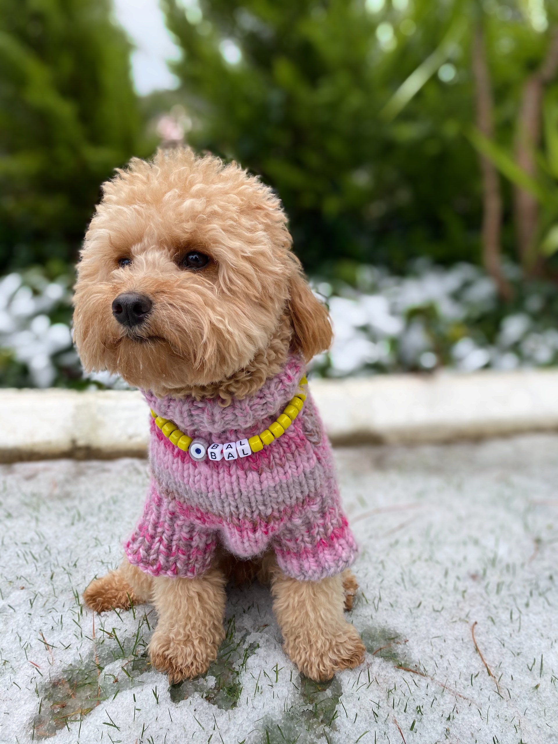 Thick Dog Sweater Turtleneck Dog Sweater Warm Dog Sweater Etsy UK