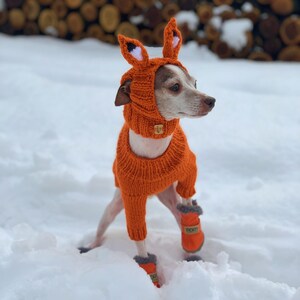 Puede incluir: Un peque&ntilde;o perro blanco con un disfraz de zorro de punto naranja con capucha y orejas. El perro est&aacute; de pie en la nieve y lleva botines naranjas.