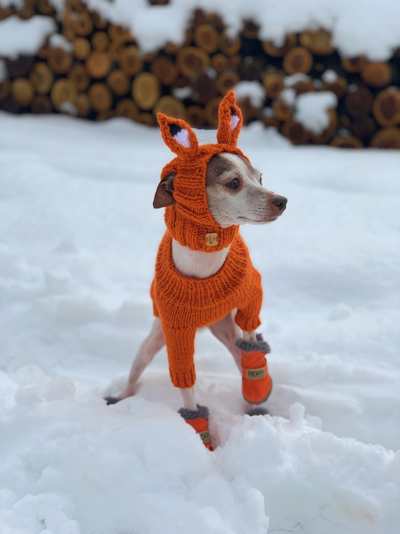 Puede incluir: Un peque&ntilde;o perro blanco con un disfraz de zorro de punto naranja con capucha y orejas. El perro est&aacute; de pie en la nieve y lleva botines naranjas.