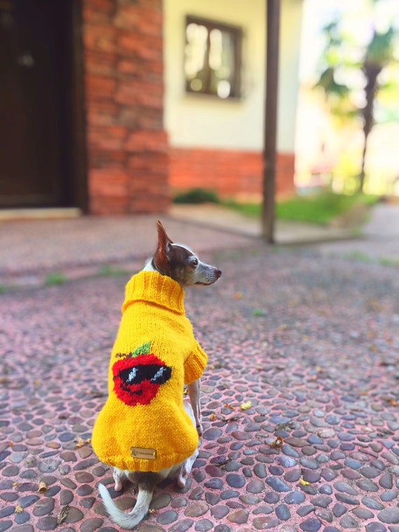 Sweater Apple Dog Sweater Custom 