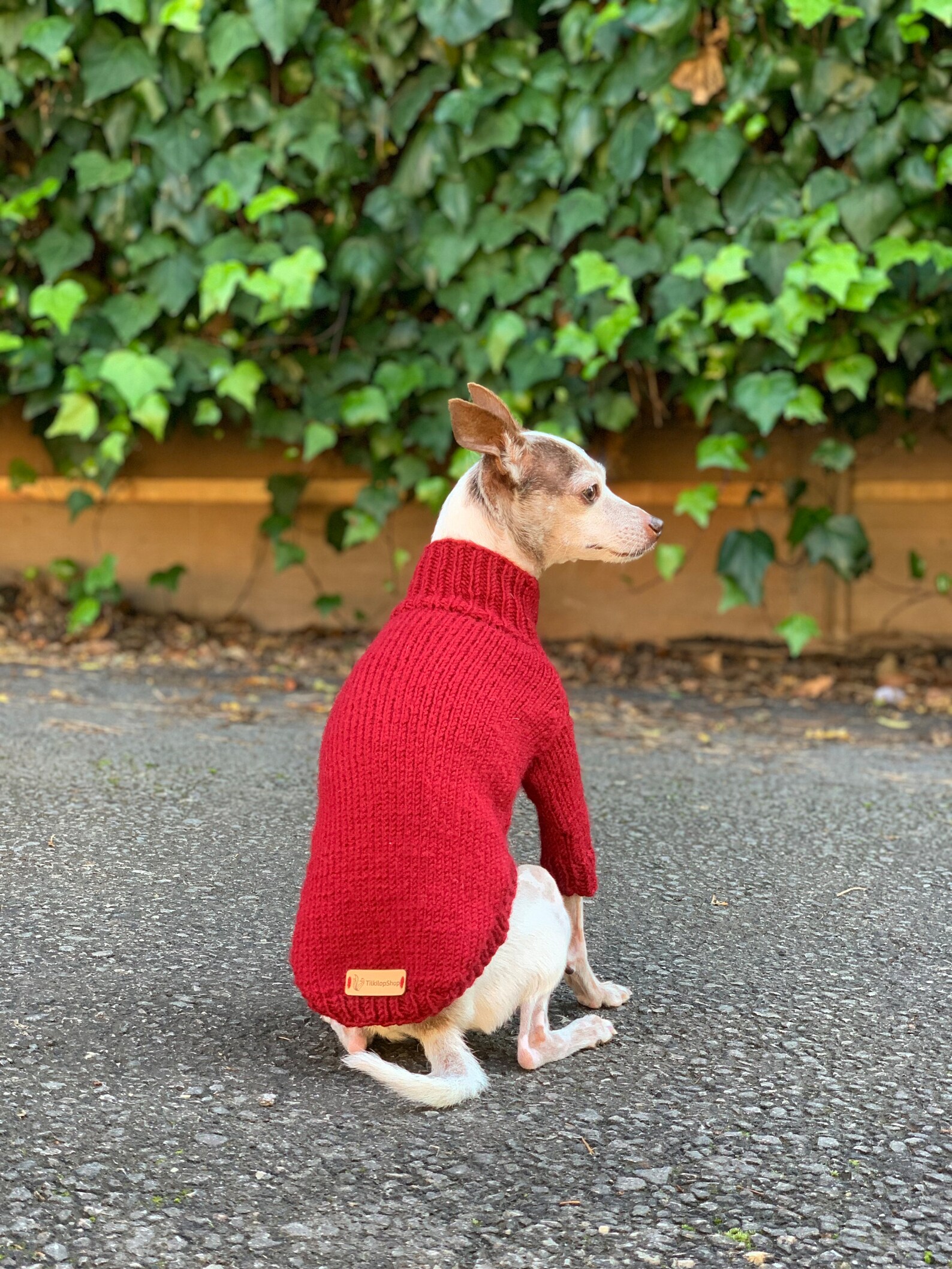 Thick Dog Sweater Classic Dog Sweater Warm Cat Sweater Hand Etsy