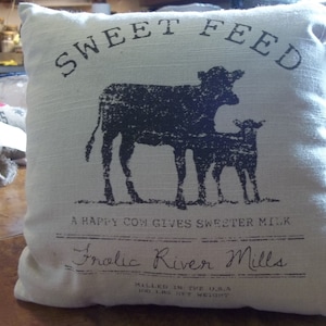 Farmhouse country pillow