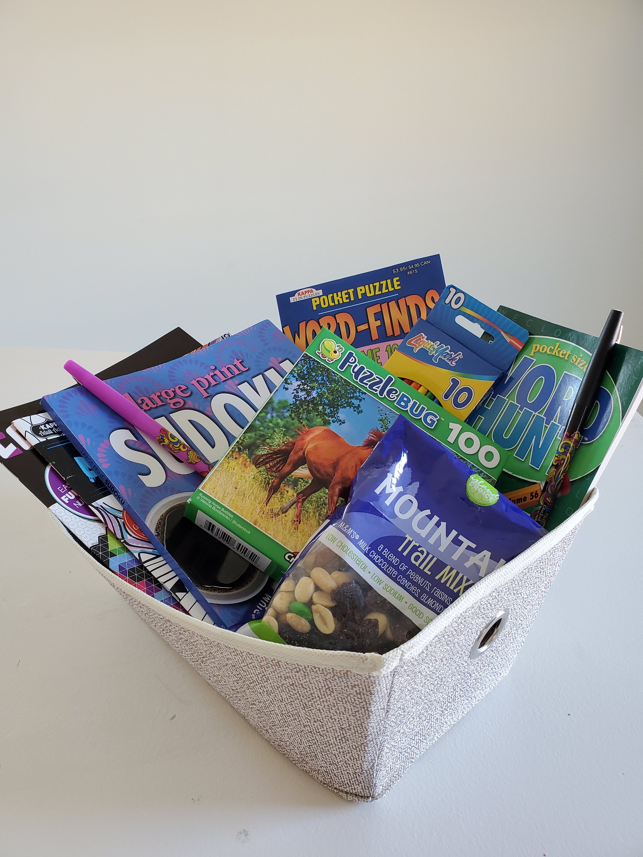 Puzzle Book Gift Set, Felt Storage Bin Word Search Books Puzzle