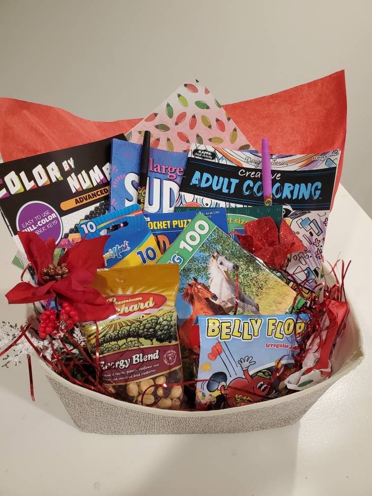 Puzzle Book Gift Set, Felt Storage Bin Word Search Books Puzzle