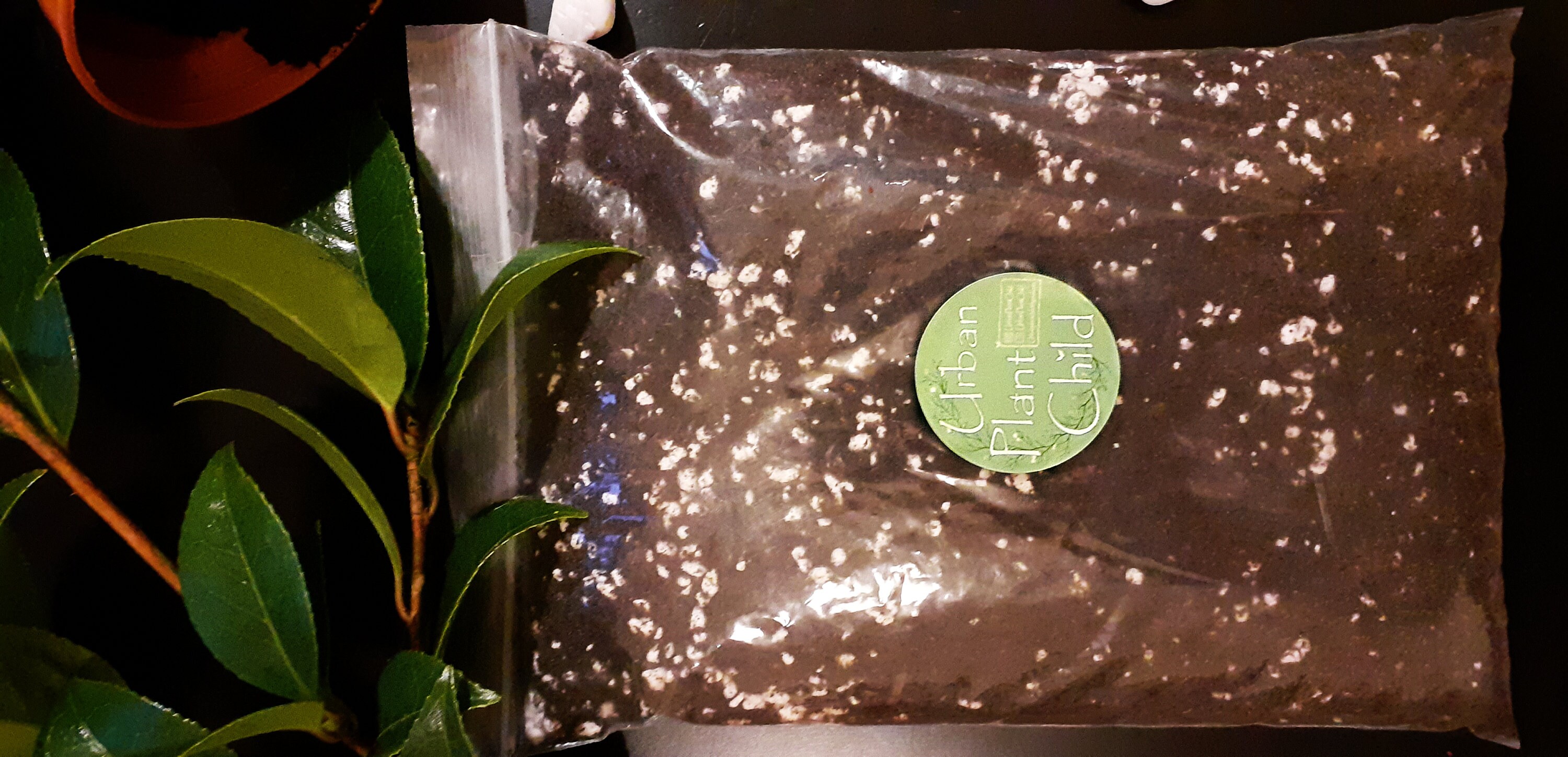 Quality tested regular Monstera and Aroid soil, available in 250ml, 5…