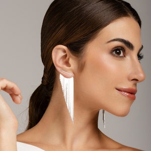 Tassel Fringe Earrings Silver - Long