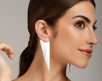 Tassel Fringe Earrings Silver - Long