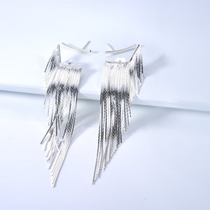 Tassel Fringe Earrings Silver Long image 5