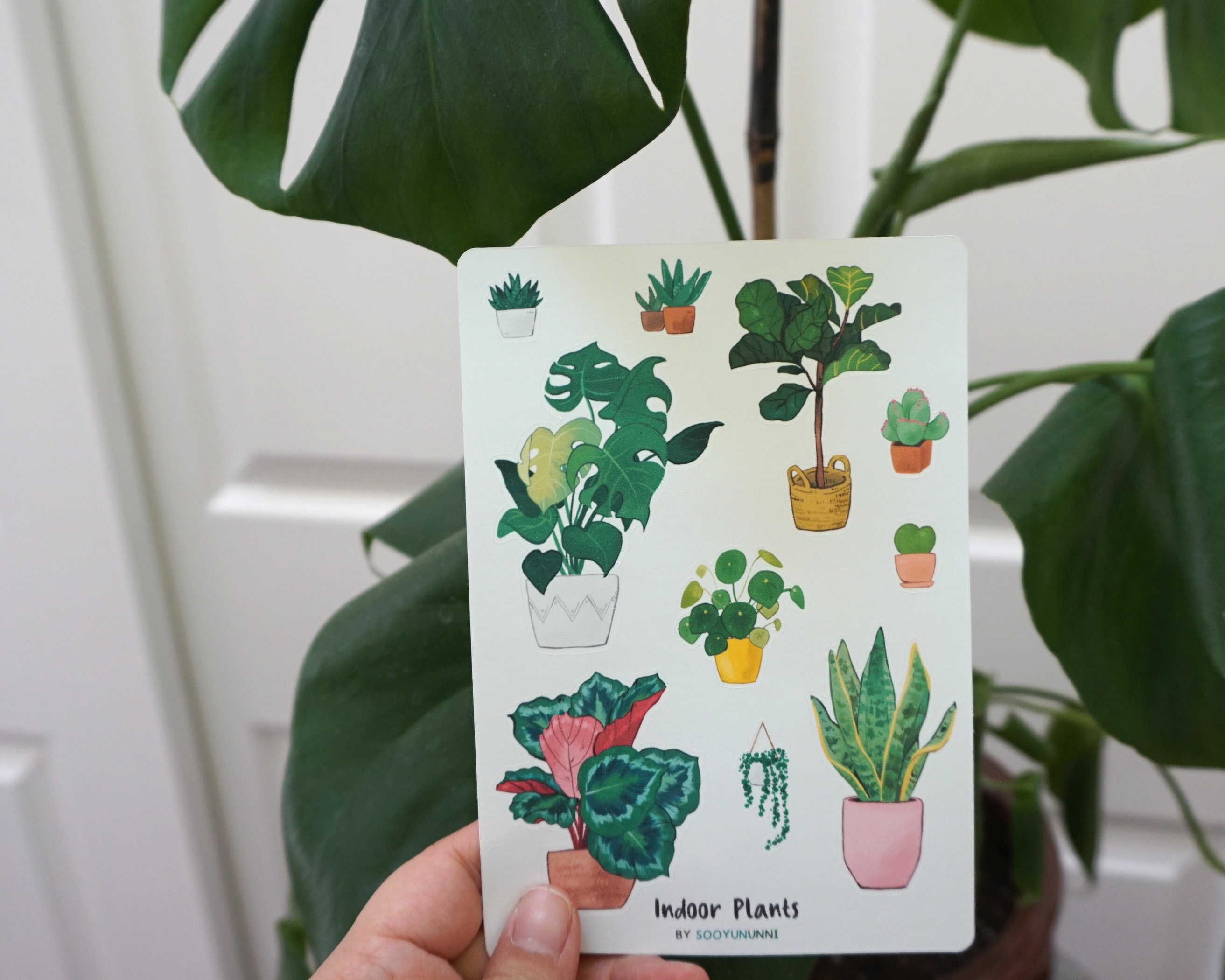 Indoor Plants Journal Sticker Sheet Etsy