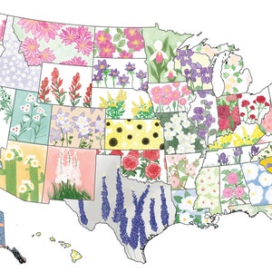 Blumenkarte des Bundesstaates USA