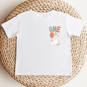 One Silly Goose 1st Birthday Matching Family Shirt,Goose Birthday First Birthday,One Silly Goose Shirt,Goose Birthday Shirt,Silly Goose Tee