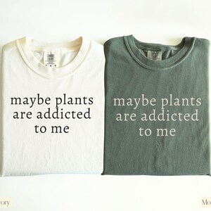 May include: Two t-shirts, one ivory and one moss green, are displayed. Each shirt has the phrase "maybe plants are addicted to me" printed in a contrasting color. The ivory shirt has black text, while the moss shirt has white text.