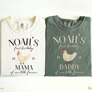 Farm 1st Birthday Shirts,Cow Family Birthday Shirt,Cow Matching Shirt,Farm First Birthday Shirts,Matching Family Cow Tee,Farm Birthday Girl