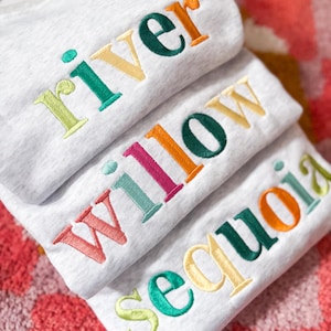 Personalized Embroidered Name Colorful Crewneck Sweatshirt- Baby Toddler Youth