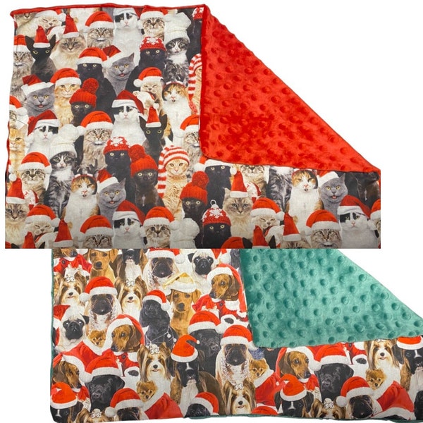 Christmas/holiday pet blankets. Double sided blanket for your pets.