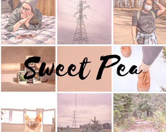 Sweet Pea Lightroom preset l Photography Blogger Presets / Filtros de Instagram / Ajustes preestablecidos de escritorio y móviles / DNG Preset / XMP Preset