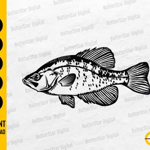 Crappie Fish SVG | Panfish Fishing SVG | Angling SVG | Fish Decals Vinyl Stencil Graphics | Cut Files Clip Art Vector Digital Dxf Png Eps Ai