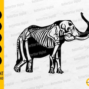 May include: A black and white illustration of an elephant skeleton. The design shows the elephant's bones, tusks, and trunk. The image also includes the text "SVG, DXF, PNG, EPS, AI" and "INSTANT DOWNLOAD".