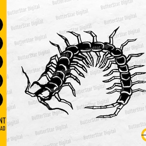 Centipede SVG | Insect SVG | Animal Illustration Drawing Graphics | Cricut Cut Files Cameo Printable Clip Art Vector Digital Dxf Png Eps Ai
