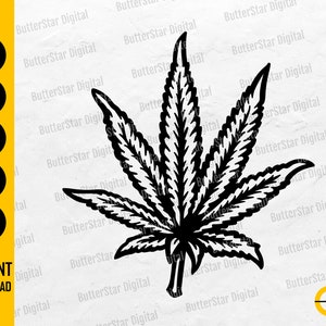 Puede incluir: Ilustración en blanco y negro de una hoja de cannabis. La imagen incluye el texto "SVG, DXF, PNG, EPS, AI" y "DESCARGA INSTANTÁNEA". El logotipo de ButterStar Digital está en la esquina inferior derecha.