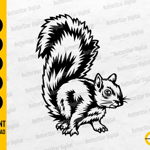 Squirrel SVG | Rodent SVG | Nuts Acorn Trees Garden Backyard Raccoon | Cutting File Printable Clipart Vector Digital Download Dxf Png Eps Ai