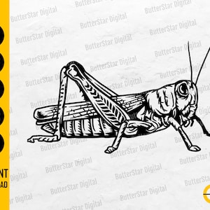 Grashüpfer SVG | Käfer SVG | Insekt SVG | Natur Gras Rasenhof Wald | Cricut Cut Dateien Silhouette Clip Art Vektor Digital Dxf Png Eps Ai