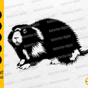 Groundhog SVG | Woodchuck SVG Illustration Graphic Drawing Decal | Cricut Silhouette Cutting File | Printable Clipart Digital Dxf Png Eps Ai