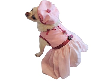 Robe de chien flirt rose, ensemble de harnais de chien, laisse de chien, vêtements de chien, tailles multiples, robe de Chihuahua, robe de Yorkie, chapeau de chien de robe de chiot