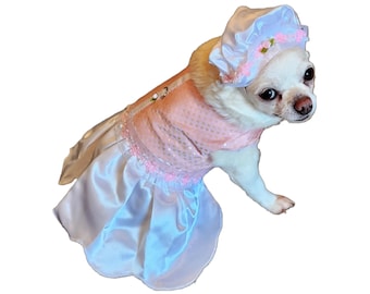 Peut inclure: Un chihuahua blanc portant une robe rose et blanche avec un bonnet blanc. La robe a un motif à pois roses et une jupe en satin blanc.