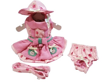 Cueillette de pommes, chapeau et robe pour chien, robe harnais et laisse, vêtements pour chiens, tailles multiples, robe Chihuahua, robe Yorkie, chapeau pour chiot