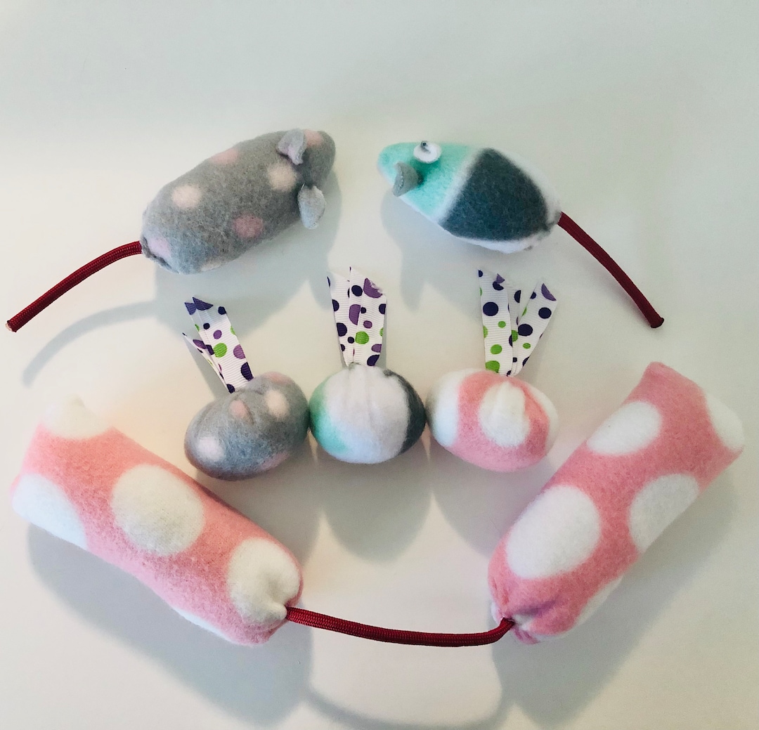Complete Cat Toy Starter Kit - Etsy