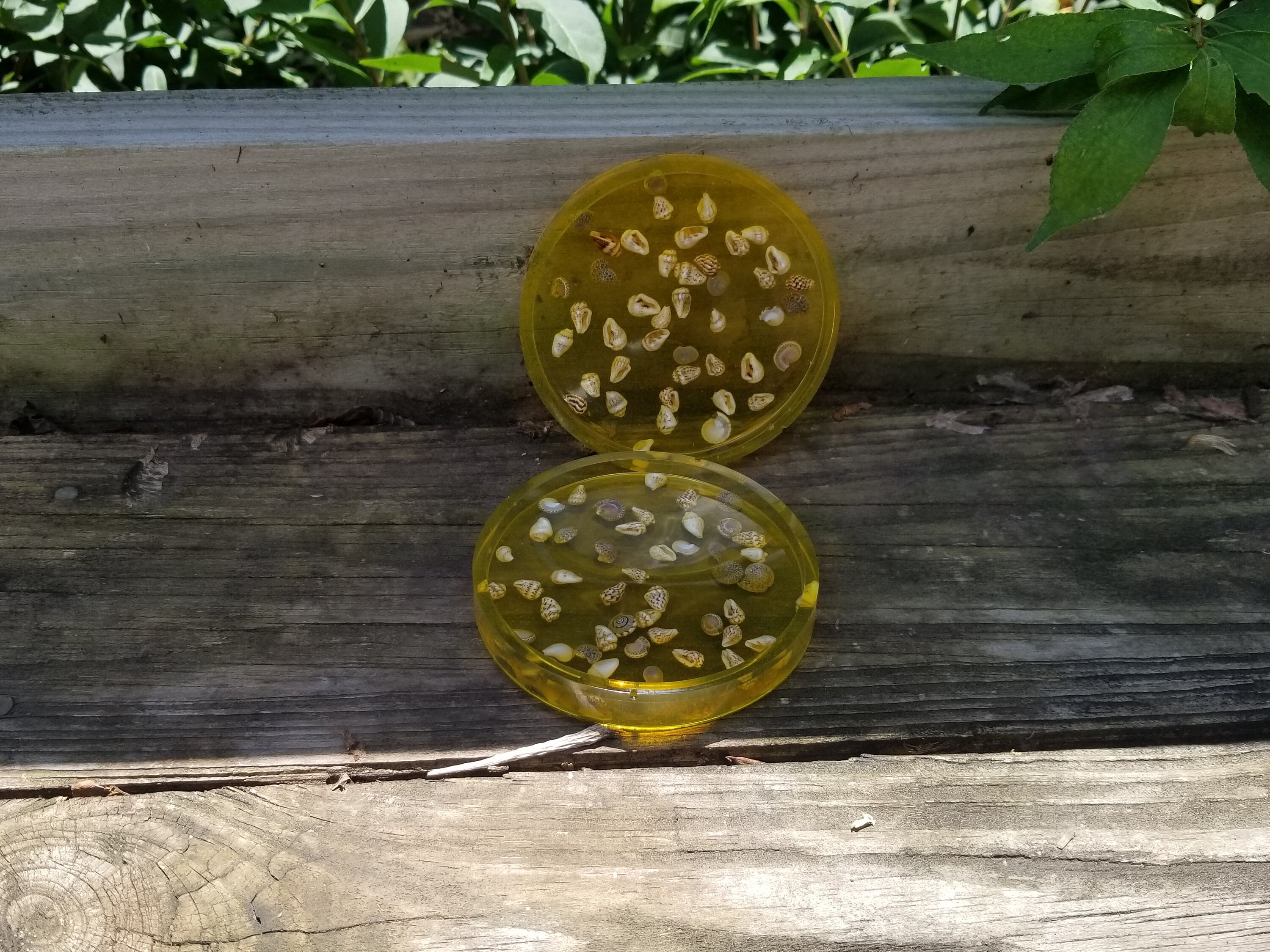 Coasters epoxy resin handmade Set of 2 | Etsy