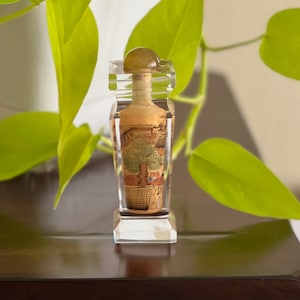 Snuff bottle, glass Chinese snuff bottle, reverse painted glass bottle, hand painted snuff bottle, Chinese snuff bottle with lid