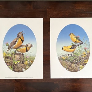 Sam Timm signed and numbered prints, Sam Timm Summer Friends, Sam Timm meadowlarks, Sam Timm goldfinches, artist prints