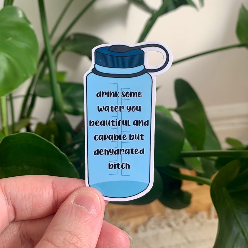 Drink Some Water You Beautiful and Capable but Dehydrated Etsy