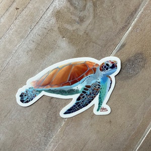 Sea Turtle Sticker or Magnet