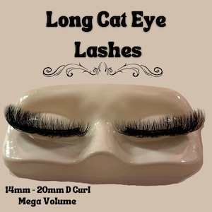 Long Cat Eye style Lashes | Mega Volume | Custom Accessories | Dramatic Eye Lashes | Beauty Makeup