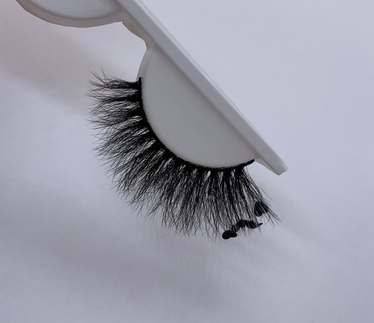Customizable Bat Lashes | Colorful Eyelashes | Halloween | Beauty ...