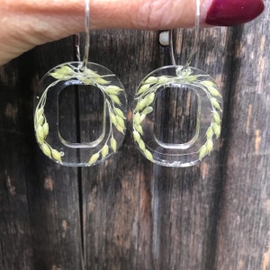 Canary grass hoops