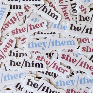 Pronoun Stickers | She/Her, He/Him, They/Them, She/They, He/They | Laptop Sticker Decals | LGBTQ | Ally