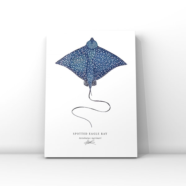 Spotted Eagle Ray Print