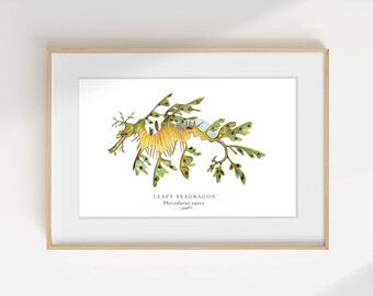 Seedrache Kunstdruck