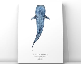 Whale Shark Art Print