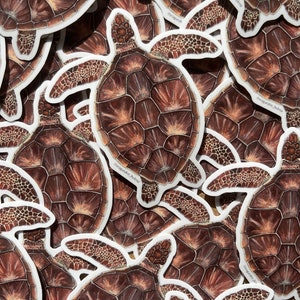 Green Sea Turtle Sticker
